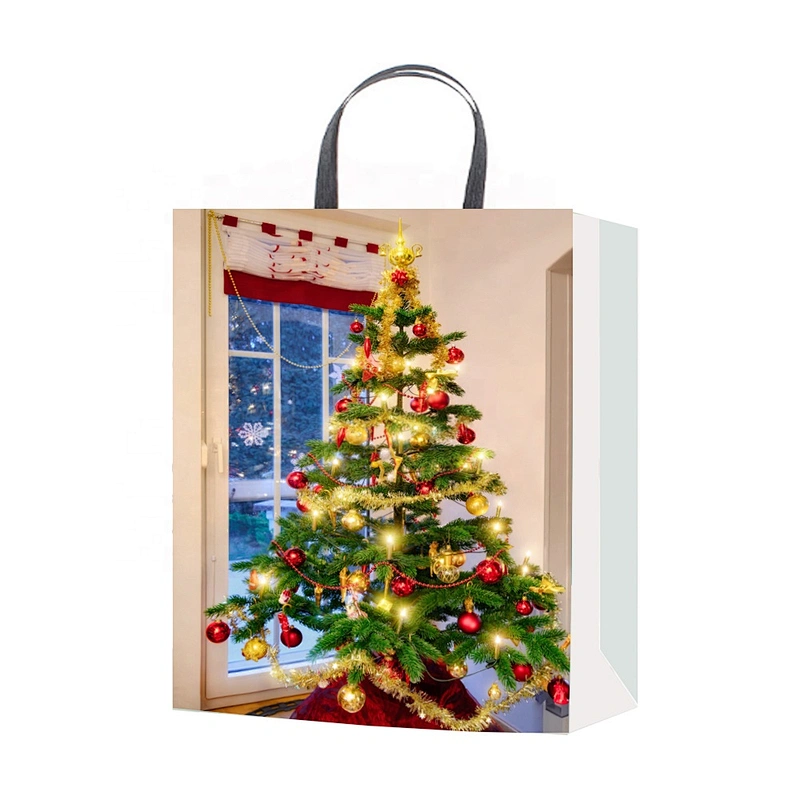 New selling superior quality gift packaging Bag Good style Various Christmas gift bag Packaging
