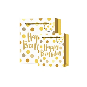 Hot sale classic Birthday gift bag Promotional sale colorful paper Packaging