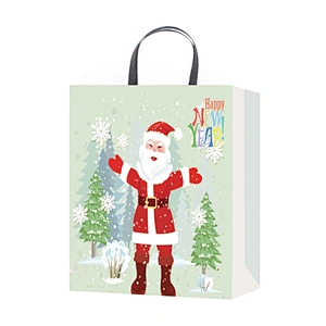 Customize Design Xmas Shopping Paper Bag Printing Gift Custom OEM Craft Gsm Item Time Industrial Surface Packaging Pcs