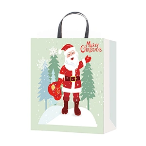 Customize Design Xmas Shopping Paper Bag Printing Gift Custom OEM Craft Gsm Item Time Industrial Surface Packaging Pcs