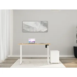 Single Motor Standing Desk