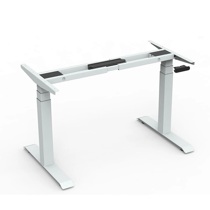 Dual Motor Standing Desk