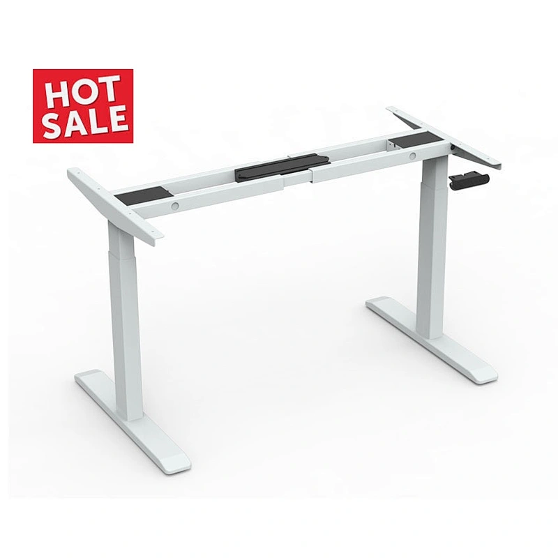 Dual Motor Standing Desk