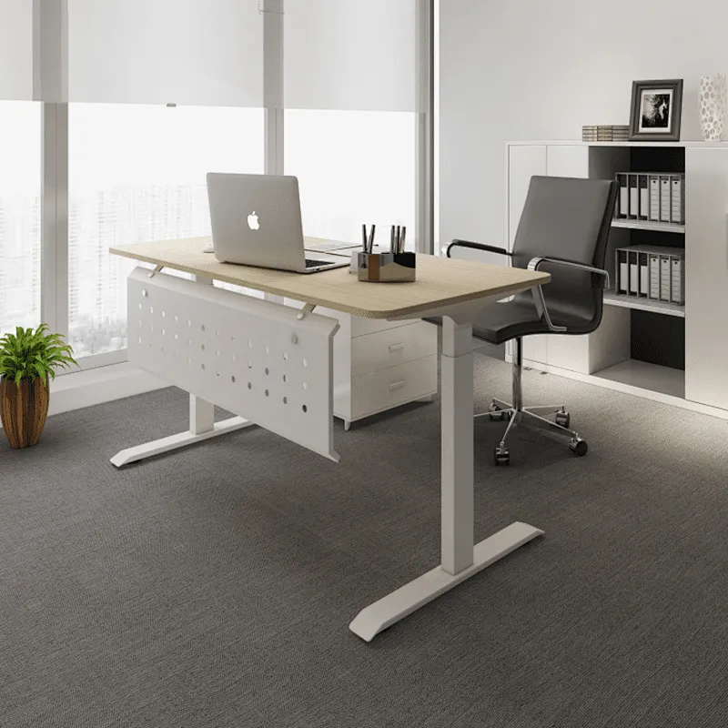 Dual Motor Standing Desk