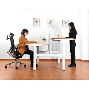 Standing Desk Workstations