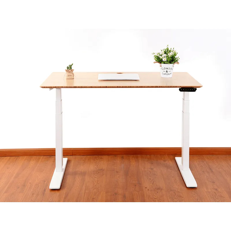 Dual Motor Standing Desk