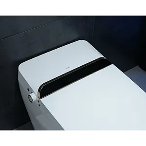Smart toilet