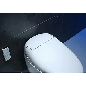 Smart toilet