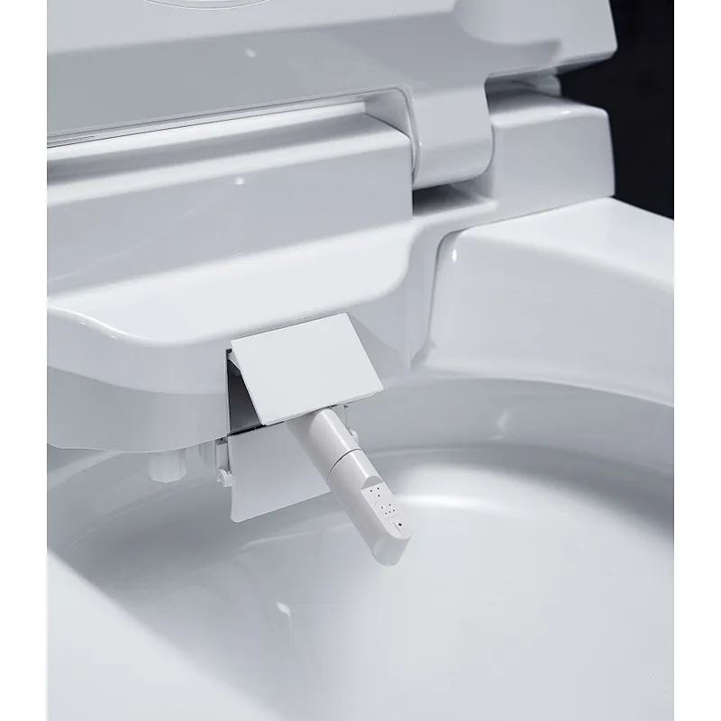 Smart toilet
