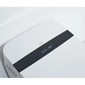 Smart toilet