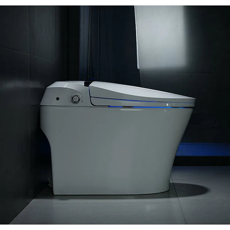 Smart toilet