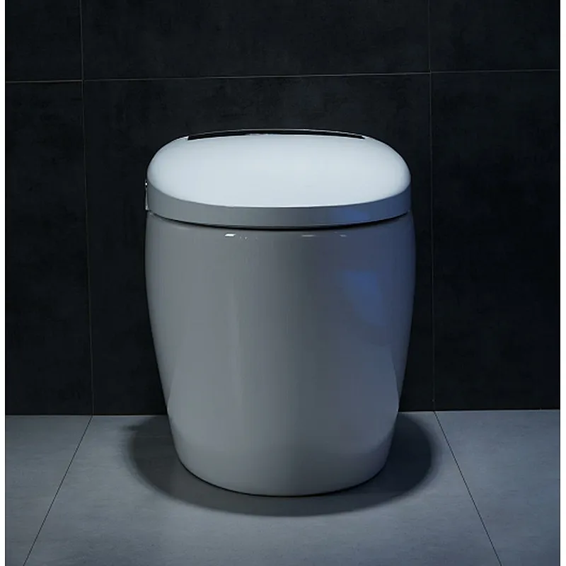 Smart toilet