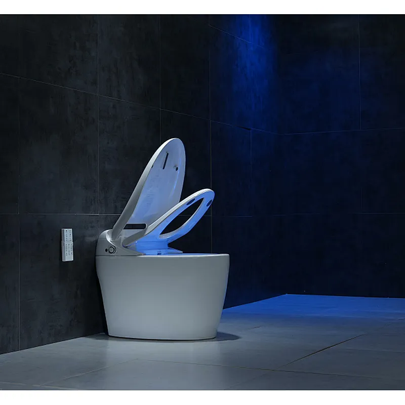 Smart toilet