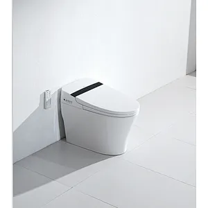 Smart toilet