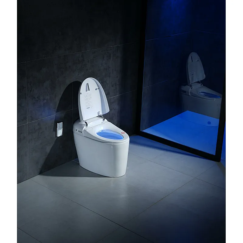 Smart toilet