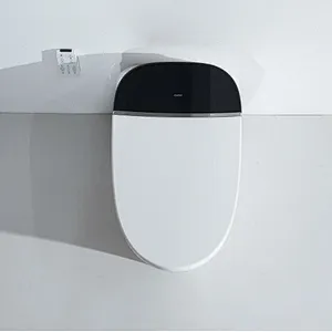 Smart toilet