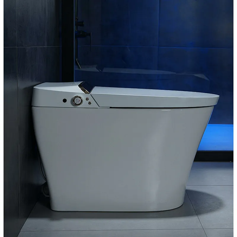 Smart toilet