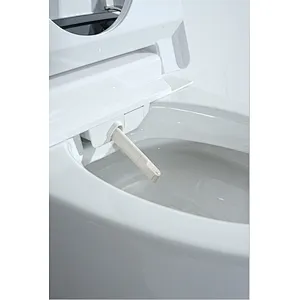 Smart toilet