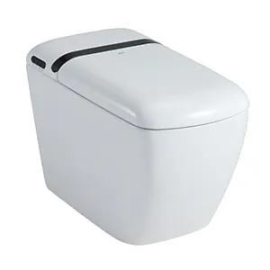 Smart toilet