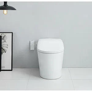 Smart toilet