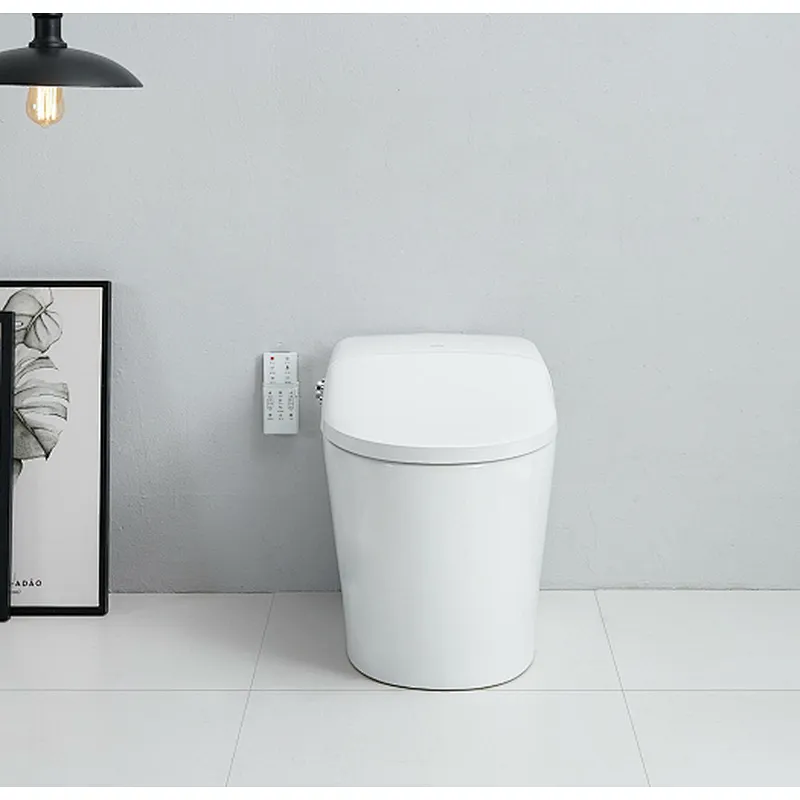 Smart toilet