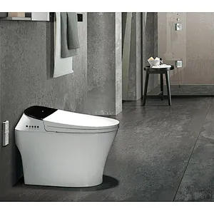 Smart toilet
