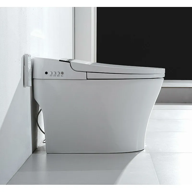 Smart toilet