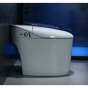 Smart toilet