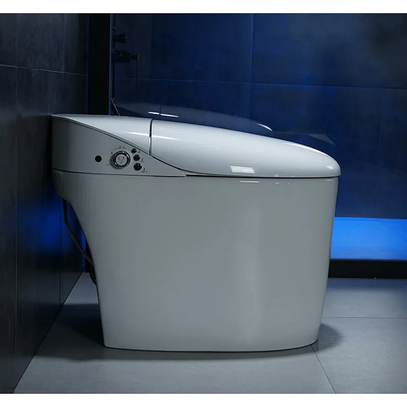 Smart toilet