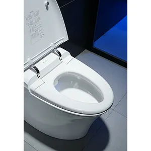 Smart toilet