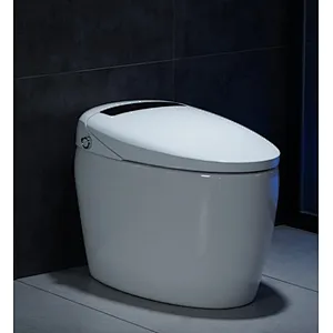 Smart toilet