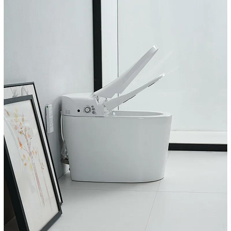 Smart toilet