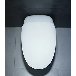 Smart toilet