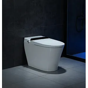 Smart toilet