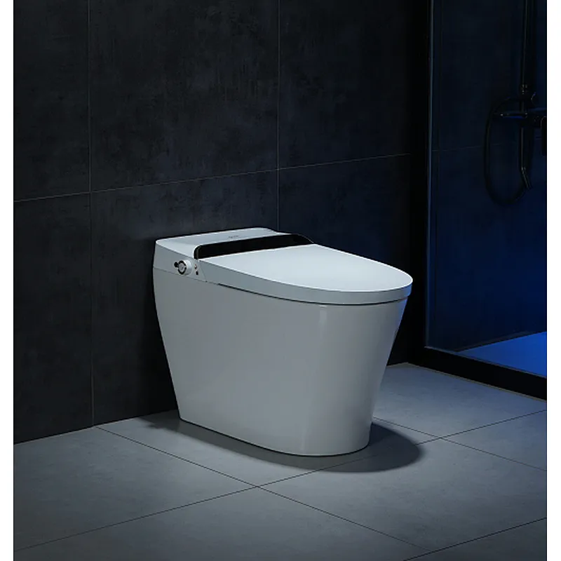 Smart toilet