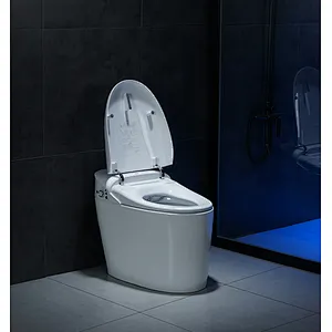 Smart toilet