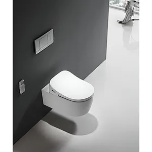 Smart toilet