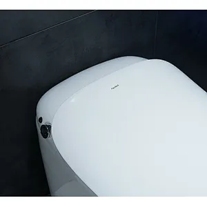 Smart toilet