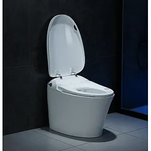 Smart toilet