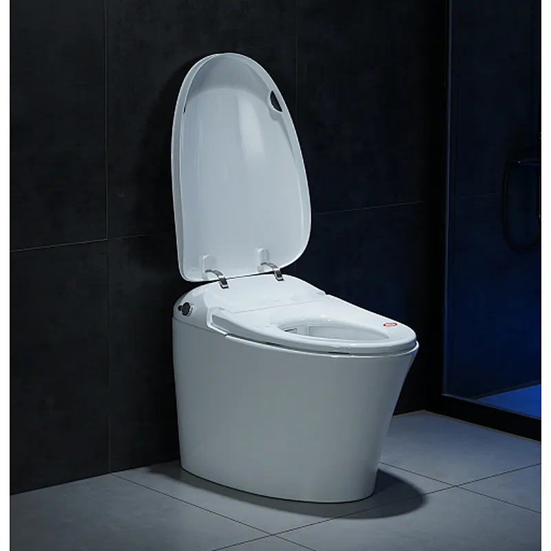 Smart toilet