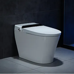 Smart toilet