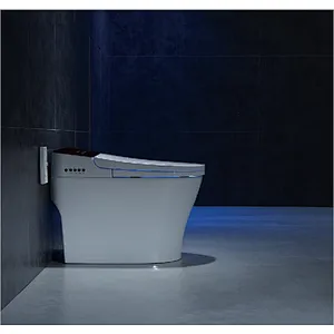 Smart toilet
