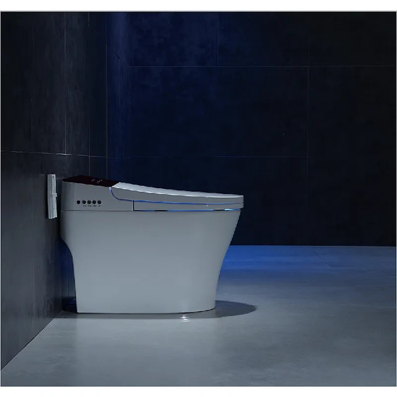 Smart toilet
