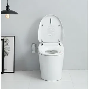 Smart toilet