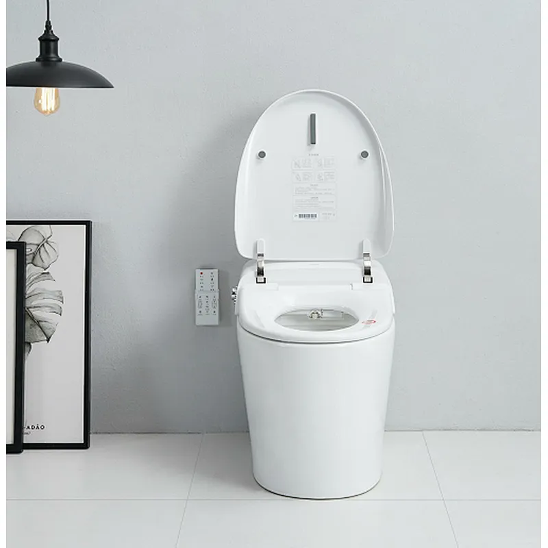 Smart toilet
