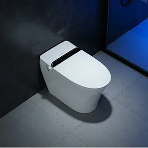 Smart toilet