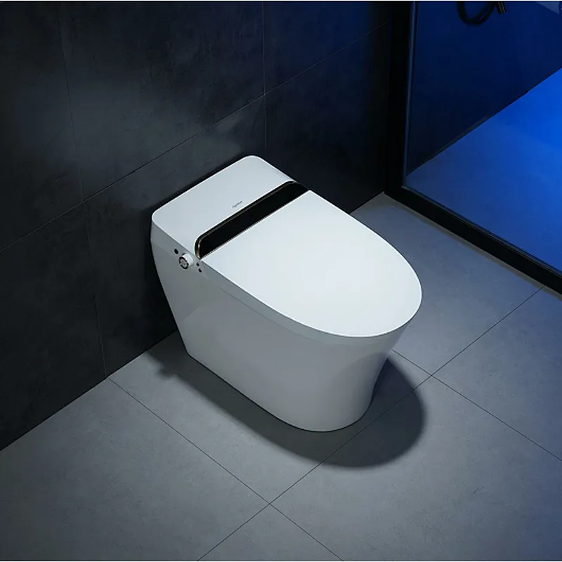 Smart toilet