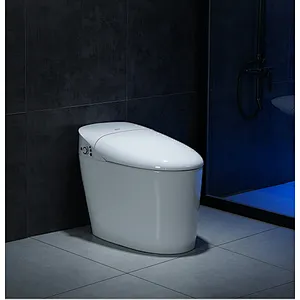 Smart toilet