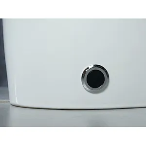 Smart toilet