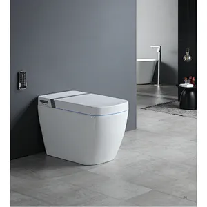 Smart toilet